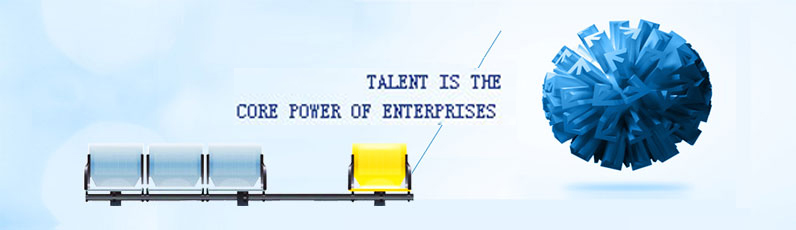Talent strategy