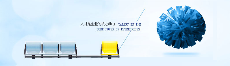 人才战略
